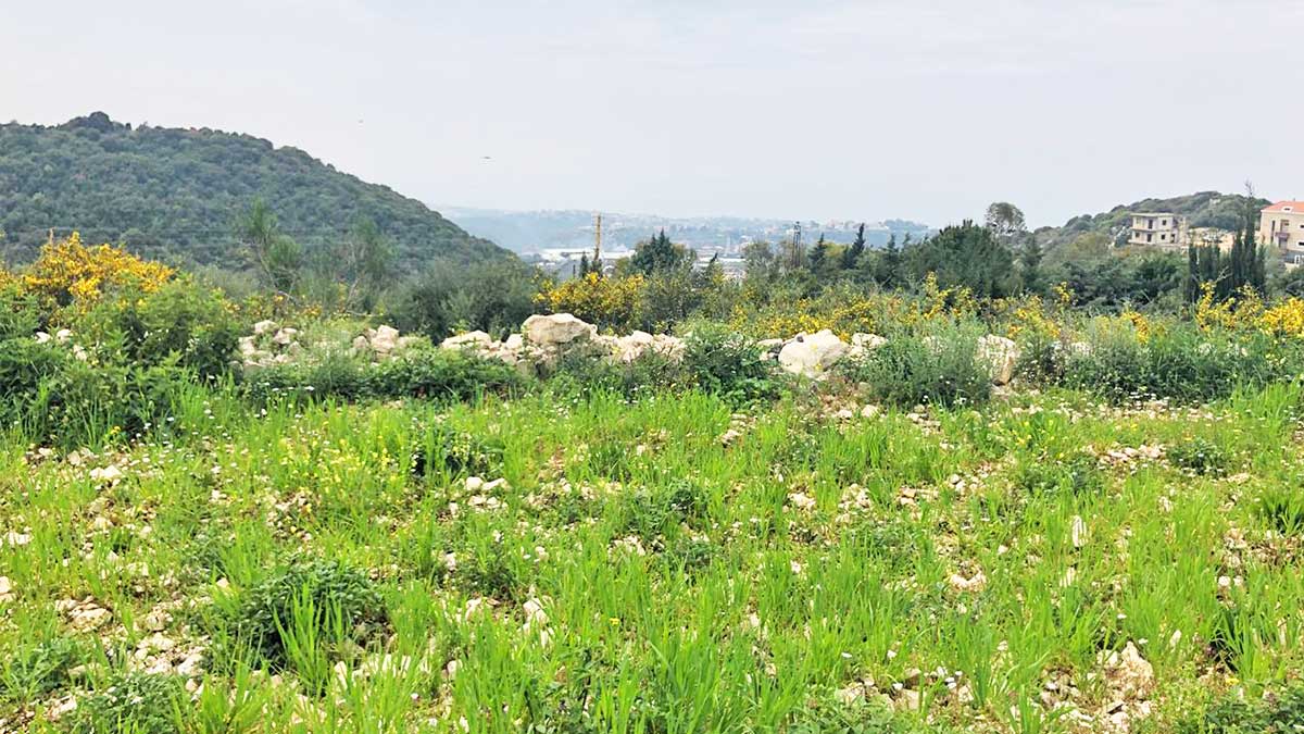 3550 sqm land for sale in jbeil, gharzouz for $450000