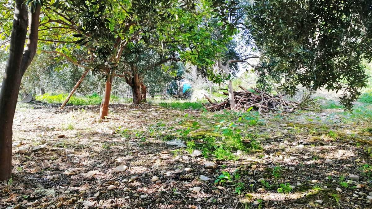 2500 sqm land for sale in jbeil, blat for $600000