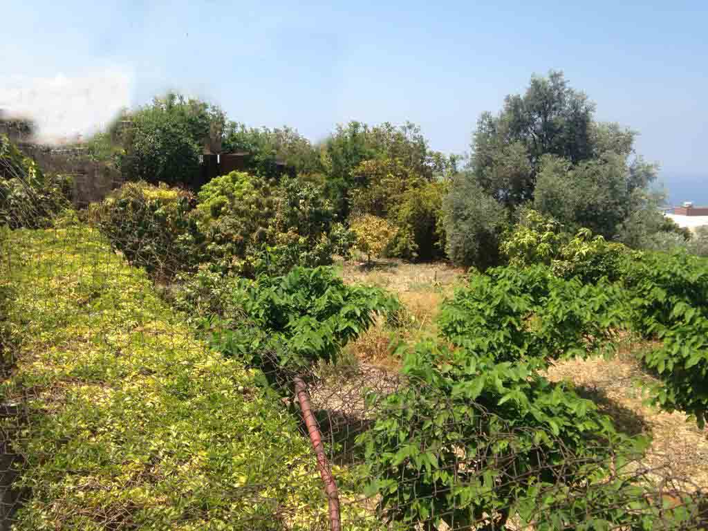 1095 sqm land for sale in jbeil, blat for $500000