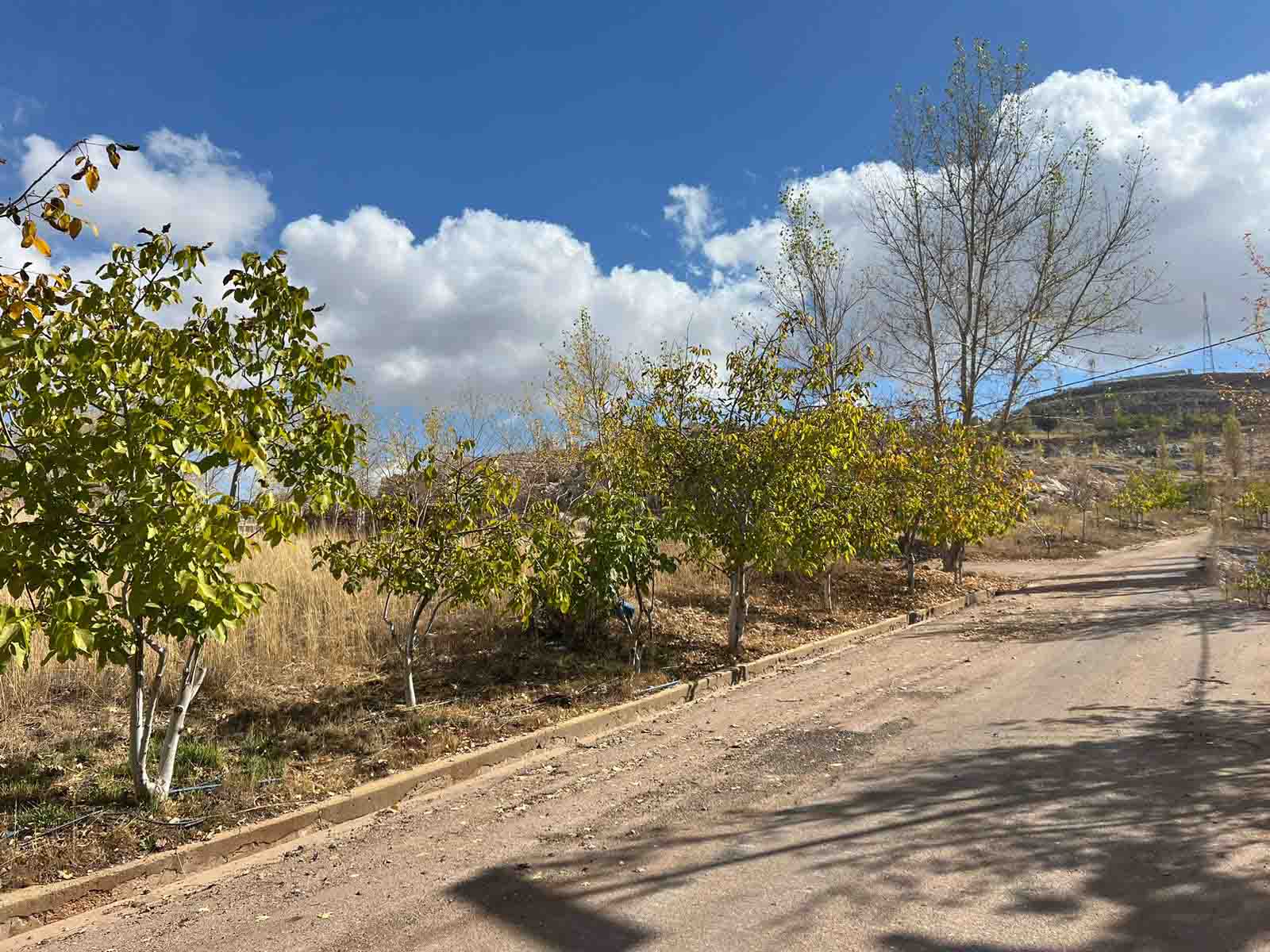 3008 sqm land for sale in jbeil, laklouk for $500000